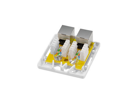 LogiLink Prise RJ45 cat. 6A avec boîtier en saillie, 2x RJ45