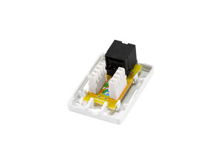 LogiLink Prise RJ45 cat. 6A avec boîtier en saillie, 2x RJ45
