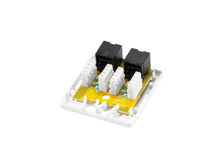 LogiLink Prise RJ45 cat. 6A avec boîtier en saillie, 2x RJ45
