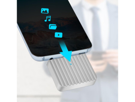 LogiLink Boîtier SSD externe, USB-C - PCIe NVMe, argent