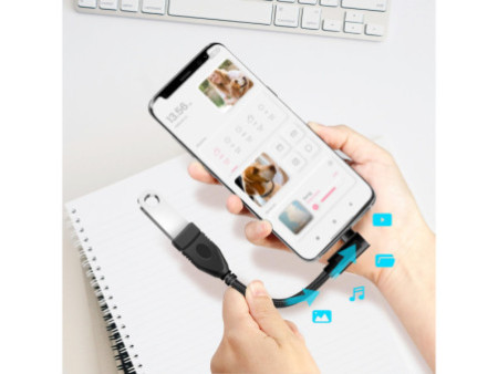 LogiLink Câble adaptateur USB 3.2 Gen2, USB-C - USB-A, 0,2 m