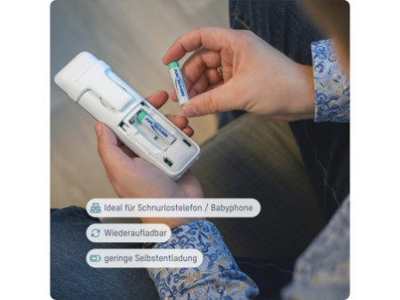 ANSMANN Pile rechargeable NiMH SPECIAL, Mignon AA, 1.300 mAh