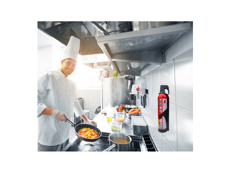 REINOLD MAX Spray extincteur 'STOP FIRE', 750 ml