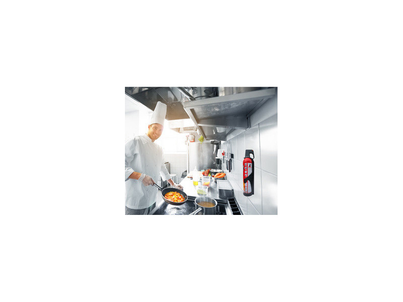 REINOLD MAX Spray extincteur 'STOP FIRE', 2 x 750 ml