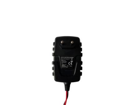 IWH Chargeur de batterie de voiture & de moto, 1 A, 6/12 V