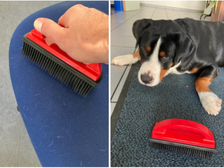 IWH Brosse en caoutchouc pour poils d'animaux, rouge