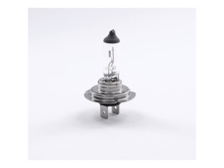 cartrend Ampoule halogène H7 pour phare, 12 V, 55 watts