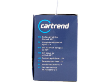 cartrend Boîte d'ampoules de rechange H4, 8 pièces
