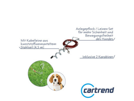 cartrend Piquet d'attache, avec câble