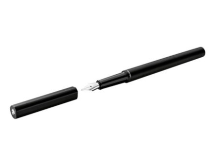 Pelikan Stylo plume Ineo Elements, Black Rock