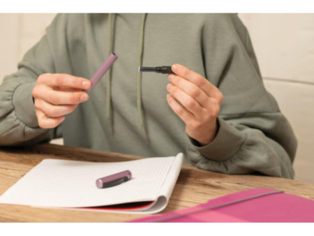 Pelikan Stylo roller Pina Colada Edition, mauve
