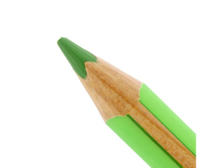 STAEDTLER Crayon surligneur à sec Textsurfer dry, vert