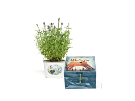 Marabu Kit de transfert photo 'PHOTO TRANSFER'