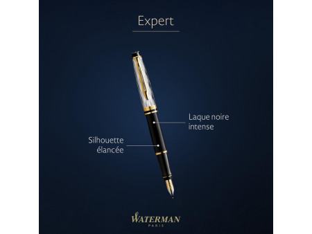 WATERMAN Stylo plume Expert Reflets de Paris Noir G.T.