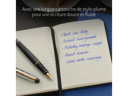 WATERMAN Stylo plume Expert Reflets de Paris Noir G.T.