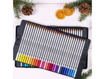 STAEDTLER Crayon aquarellable karat aquarelle, étui de 60