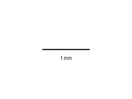 STAEDTLER Feutre de coloriage Noris, étui en carton 12