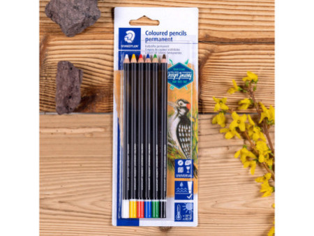 STAEDTLER Crayon marqueur sec Lumocolor permanent glasochrom