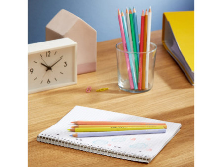 STAEDTLER Crayons de couleur pastel, étui carton de 12