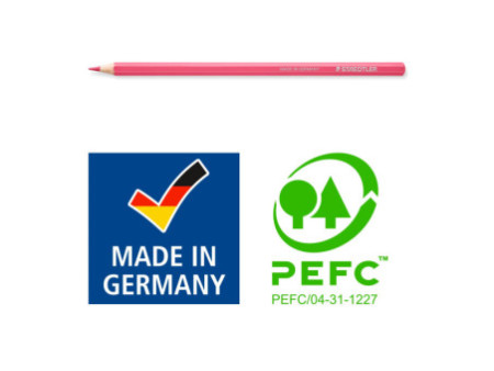 STAEDTLER Crayons de couleur pastel, étui carton de 12