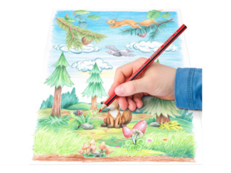 STAEDTLER Crayon de couleur triangulaire Noris colour, étui