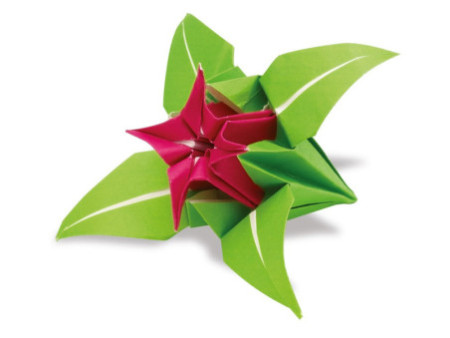 folia Feuilles de papier origami à plier, 100 x 100 mm