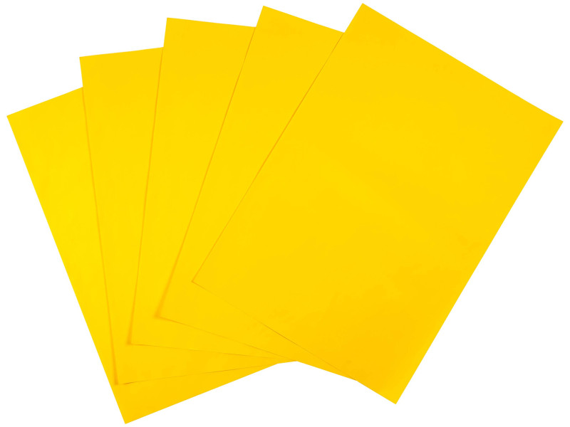 folia Papier de couleur, (L)500 x (H)700 mm, jaune or