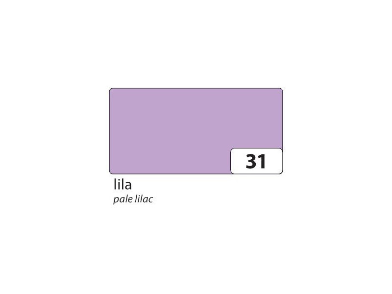 folia Papier de couleur, (L)500 x (H)700 mm, violet
