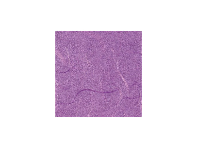 folia Soie de paille, (L)470 x (H)640 mm, lilas