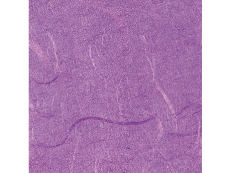 folia Soie de paille, (L)470 x (H)640 mm, lilas