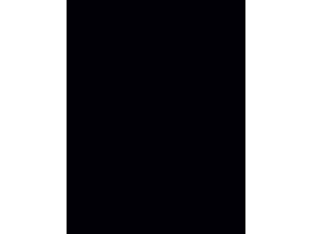 folia Caoutchouc mousse (L)200 x (H)290 mm, noir