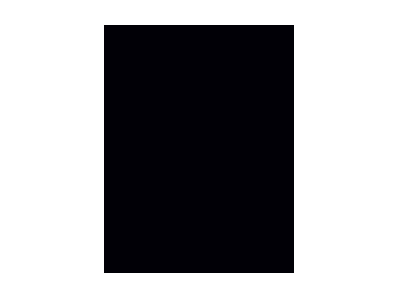 folia Caoutchouc mousse (L)200 x (H)290 mm, noir