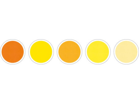 folia Mousse éponge, (L)200 x (H)290 mm, assortiment jaune