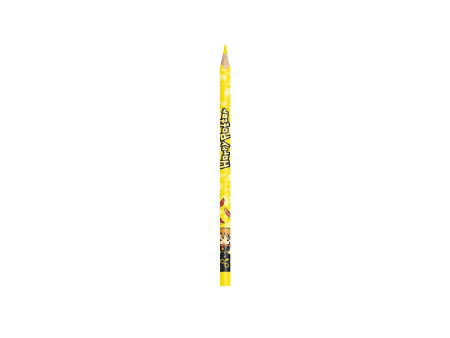 Maped Crayon de couleur triangulaire HARRY POTTER,étui de 12