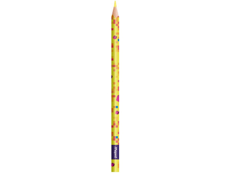 Maped Crayon de couleur PIXEL PARTY, étui carton de 12
