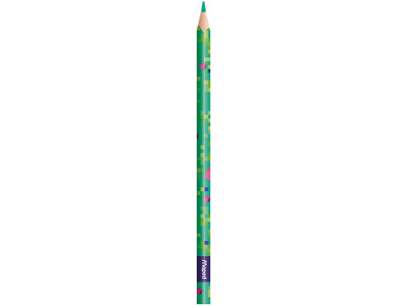 Maped Crayon de couleur PIXEL PARTY, étui carton de 24