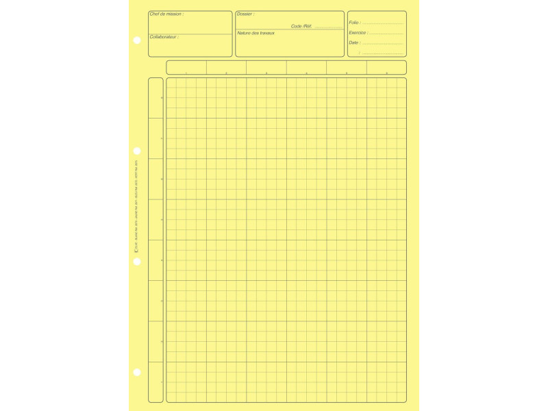 ELVE Bloc audit 'Contrôle interne', 80 pages, jaune clair