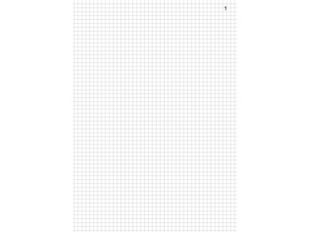 ELVE Corrigé marbré Annonay, quadrillé 5x5, 310 x 210 mm