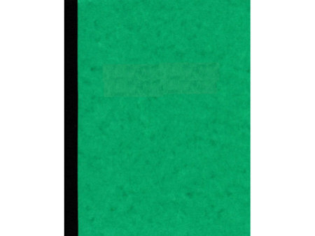ELVE Piqûre comptable 10 colonnes sur 1 page, 250 x 320 mm