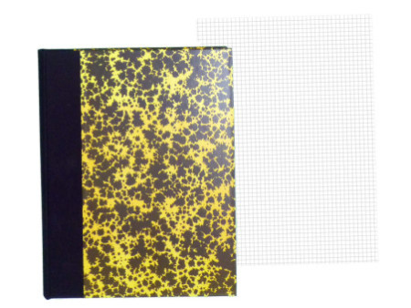 ELVE Registre Corrigé Annonay, quadrillé 5x5, 297 x 210 mm