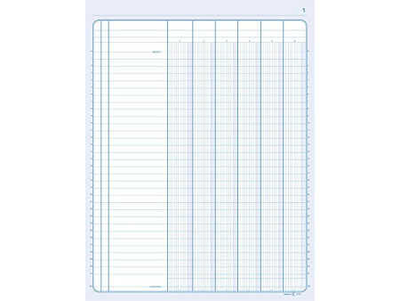 ELVE Piqûre comptable 25 colonnes sur 2 pages, 240 x 320 mm