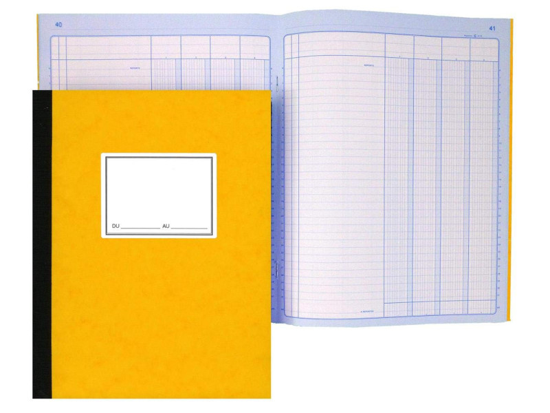 ELVE Piqûre comptable, 4 colonnes sur 1 page, 320 x 240 mm
