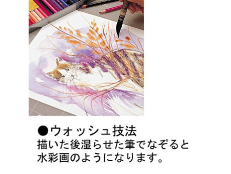 CARAN D'ACHE Crayons de couleur SUPRACOLOR, coffret de 80