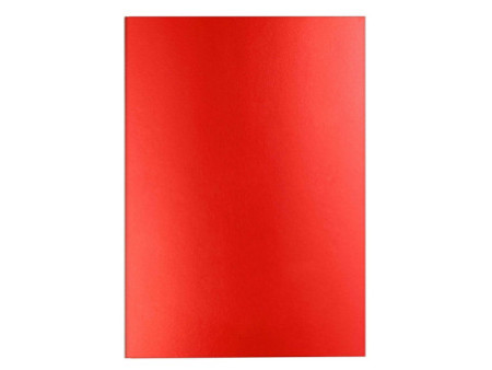 CARAN D'ACHE Carnet de notes COLORMAT-X, A5, ligné, rouge