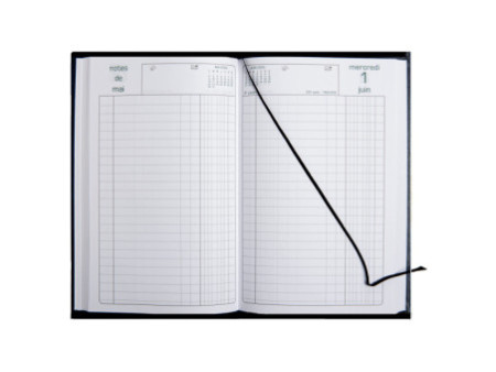 EXACOMPTA Agenda Carré Euro/Cents 135 x 210 mm, 2026,assorti