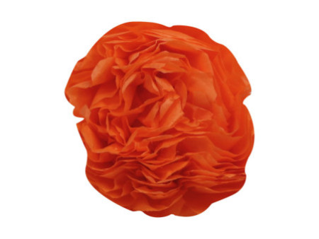 Clairefontaine Papier de soie, (l)500 x (H)750 mm, orange