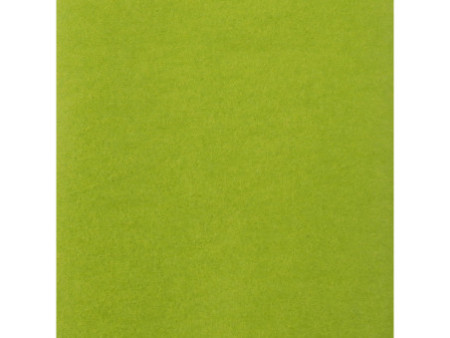Clairefontaine Papier de soie, (l)500 x (H)750 mm,vert pomme