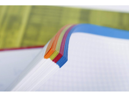 Clairefontaine Cahier Bind'O Block, A4+, quadrillé