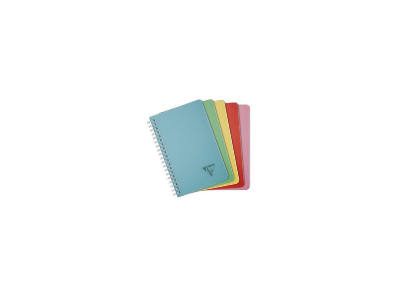 Clairefontaine Carnet reliure intégrale LINICOLOR, 110x170mm