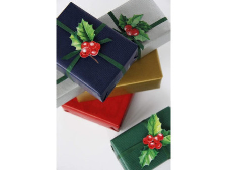 Clairefontaine Papier cadeau 'Unicolor', en bobine, rouge